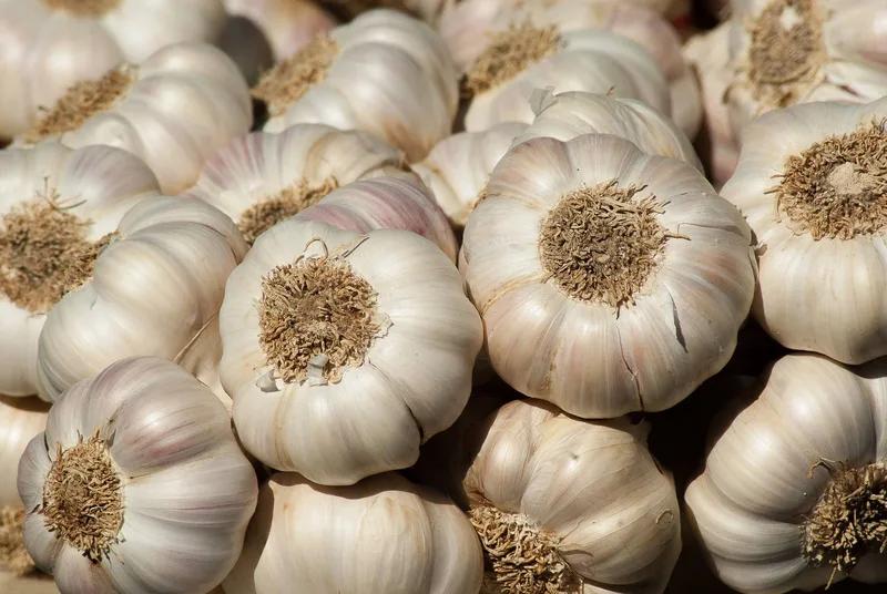 Baladi white garlic