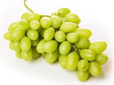 Superior Seedless (Sugraone)
