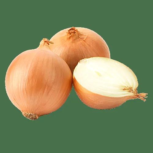 Golden onion