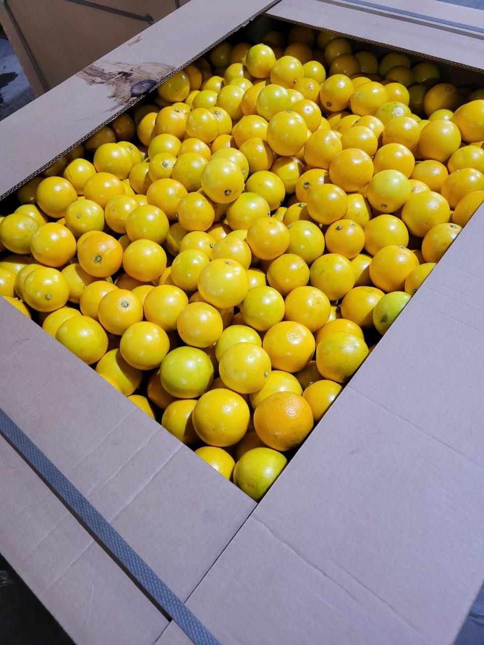 Lemons