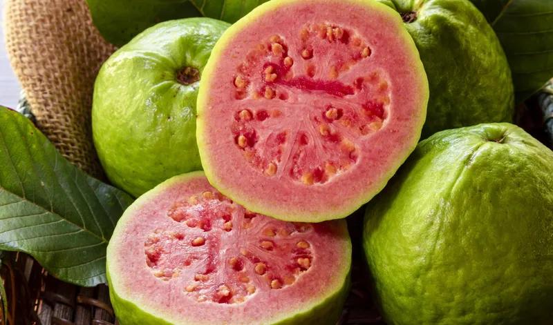 Guava