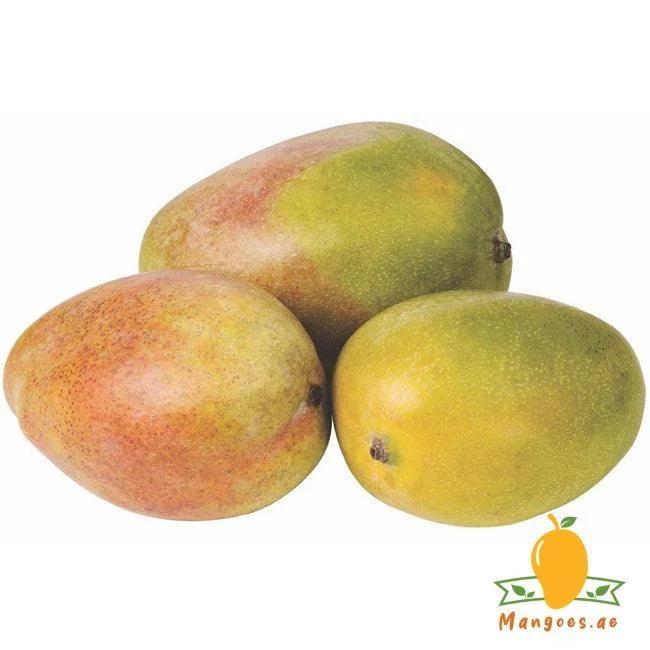 Mabrouka