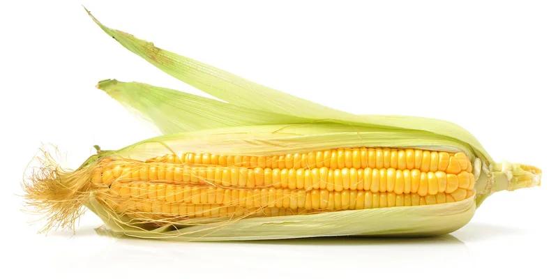 Yellow Sweet Corn