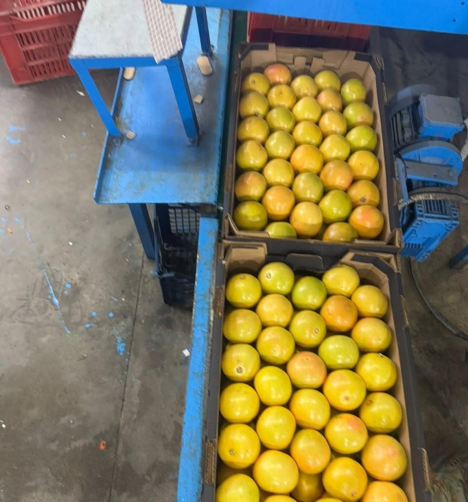 Hand packing