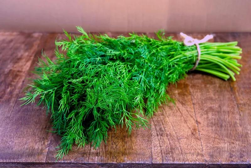 Dill