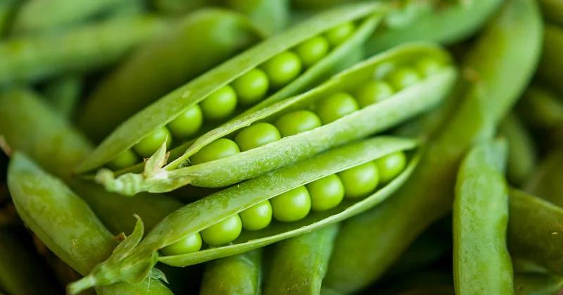 Fresh green peas