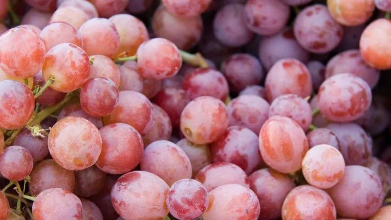 Flame Seedless