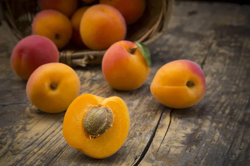 Apricots