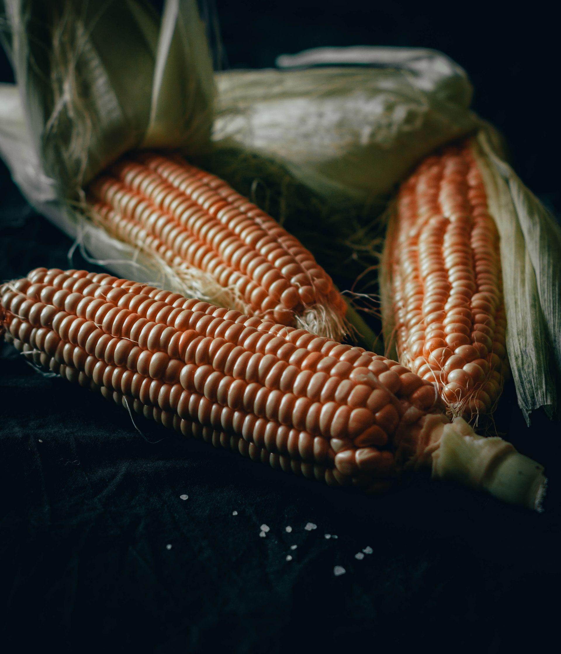 Sweet Corn