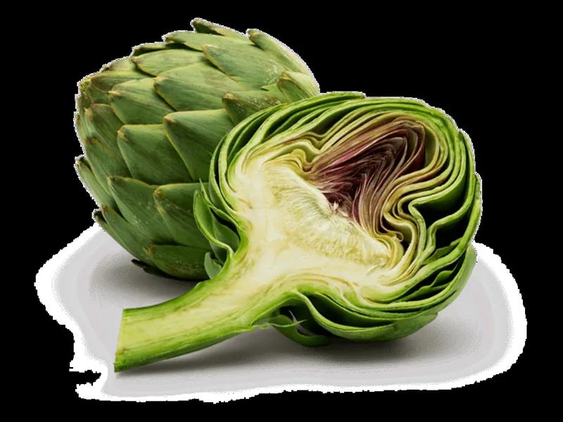 Green globe artichoke
