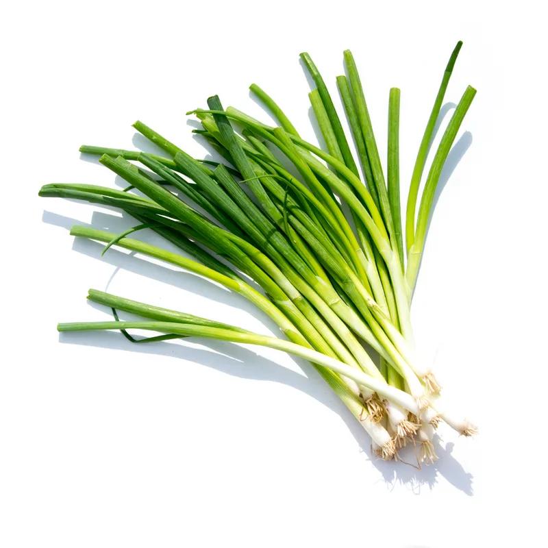 Spring onion